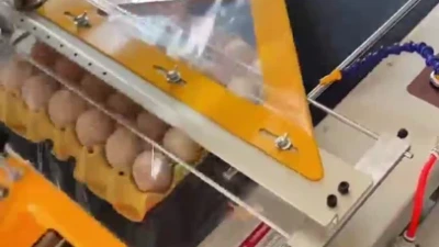 Egg Tray Multipack Wrapping